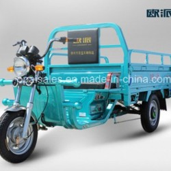 Electric Tricycle EEC Tubless Tire Electric Cargo Trike Headlight with Big Hopper