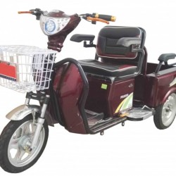 Factory Mobility Electric Scooter