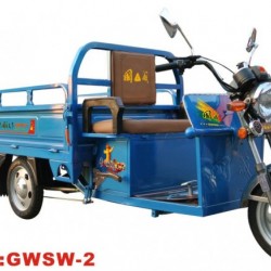 Gwsw-2 Electric Tricycle