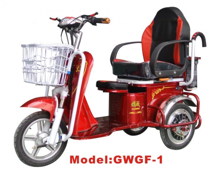 Gwgf-1 Electric Tricycle Image1