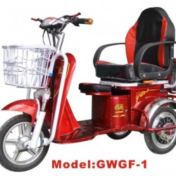 Gwgf-1 Electric Tricycle