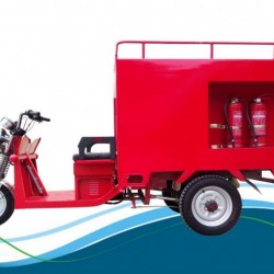 Enviornmental Four Passengers 800W Three Wheel Electro Tricycle