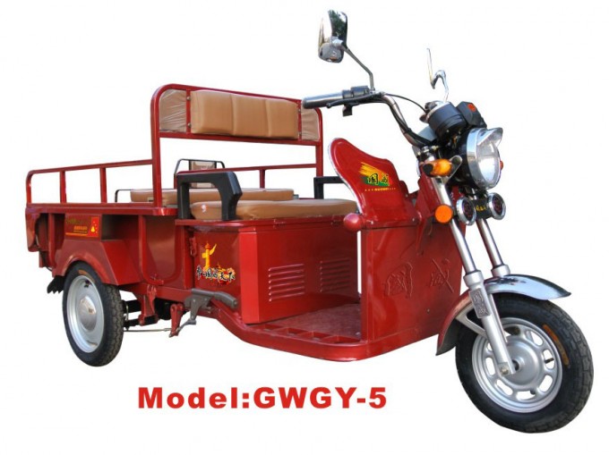Gwsw-5 Electric Tricycle Image1