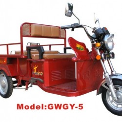 Gwsw-5 Electric Tric