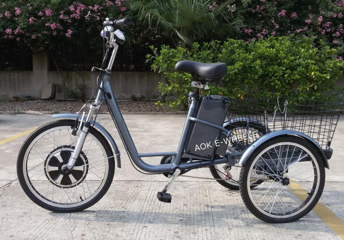 350W/500W Lithium Battery Three Wheeler with Double Shock Absorber Image1