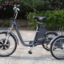 350W/500W Lithium Battery Three Wheeler with Double Shock Absorber