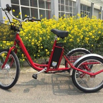 big trike