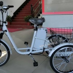 350W/500W 36V/48V Electric Tricycle with Lithium Battery