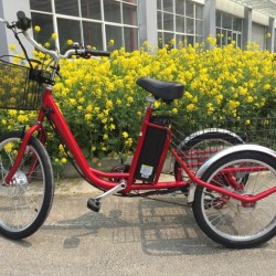 Most Famous Electric Trike Mabufacturer in China