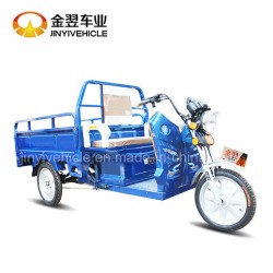 Electric 3 Wheel Vehicle Trike for Cargo shipment