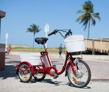 Lithium Battery Little Cargo Tricycle for Elder, Tektro V-Brake E-Bike Image1