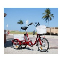 Lithium Battery Little Cargo Tricycle for Elder, Tektro V-Brake E-Bike