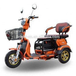 High Quality 2 Seats Cheap Electric Tricycle for Elderly