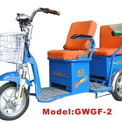 Gwgf-2 Electric Tric