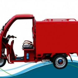 Hot Sale 850W 48V Three Wheel Electro Tricycle