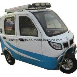 High Speed Electric Car for Passenger