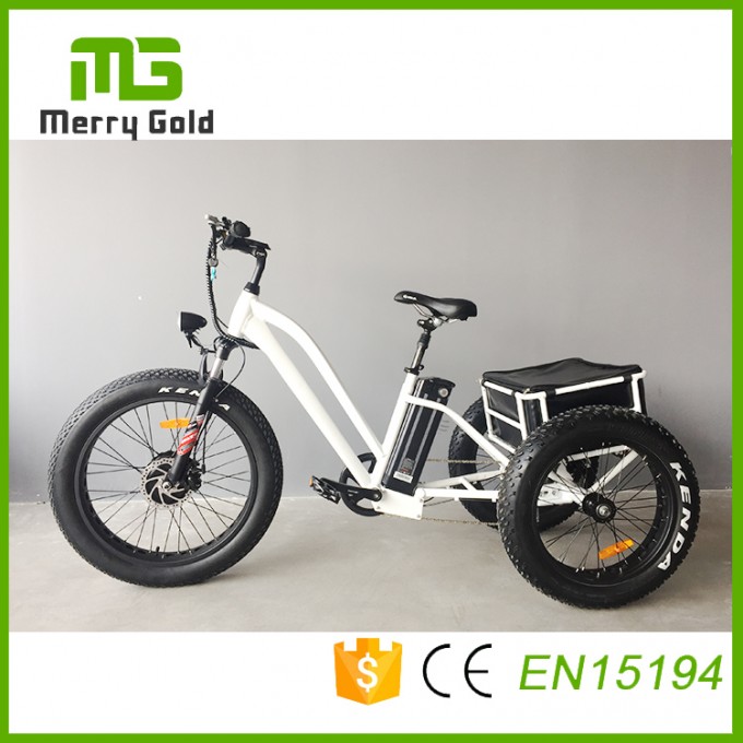 China Factory E Trikes Three Wheels E Tricycle for The Disabled Powerful China Fat Tire E Trike Image1