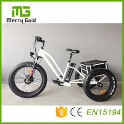 China Factory E Trikes Three Wheels E Tricycle for The Disabled Powerful China Fat Tire E Trike
