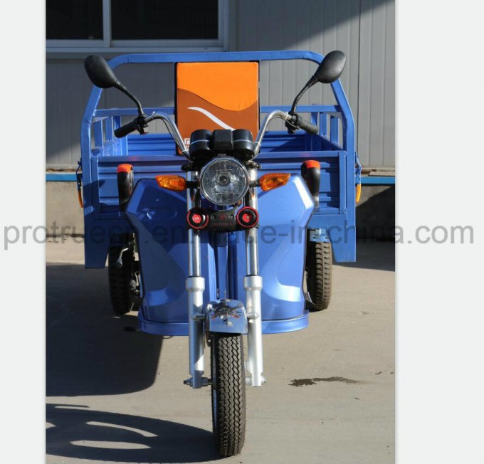 1000W Ebike with Rear Cargo Image1