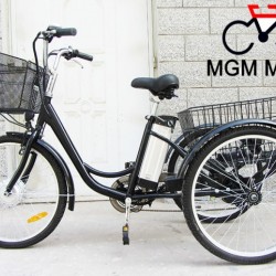 Three Wheels Electri