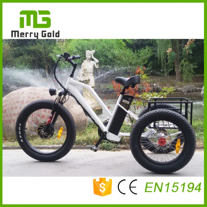 Fat Tire E-Tricycle E-Trikes for The Elderly with Max Loading 125kg Powerful Electric Tricycle Image1