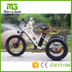 Fat Tire E-Tricycle E-Trikes for The Elderly with Max Loading 125kg Powerful Electric Tricycle