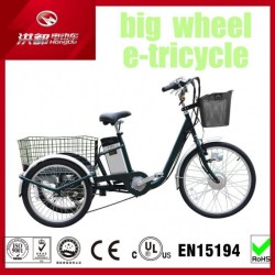 250W 3 Wheel Electric Tricycle Lithium Battery for Older