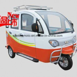 Fcatory Sales Electric Car for Passenger