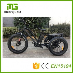 3 Wheels Tricycle for The Elderly 48V 500W Electric Tricycle China Fat Tire E Trike