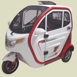 High Quality Factory Sales Electric Car for Passenger