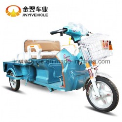 Cargo Tricycle with Electric Power