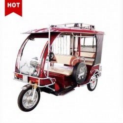 Adult Electric Motorcycle Tricycle Rickshaw Scooter for Passenger