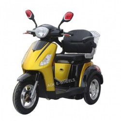 Adult 500W 48V/60V Electric Tricycle for Old People (TC-020)