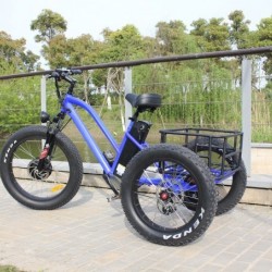 2017 Fashion LCD 48V 500W Fat Tire Cargo Electric Tricycle Lithium Battery