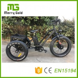 Front Drive Motor E Trikes Fat Tire E-Tricycle for The Adult 3 Wheels Electric Tricycle