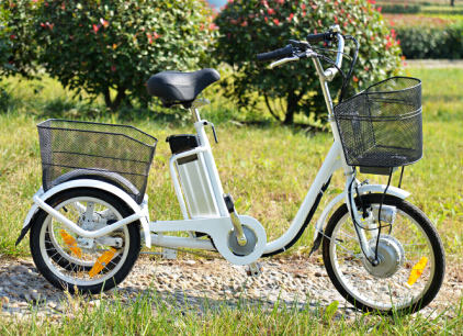 36V 10ah Lithium Battery Cheap Assisted 3 Wheel Electric Trike Scooter Image1