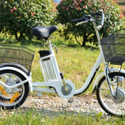 36V 10ah Lithium Battery Cheap Assisted 3 Wheel Electric Trike Scooter