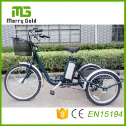 Three Wheels Tricycle Electric Trike for The Disabled E Tricycle with Lithium Battery