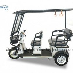 Adult Electric Passenger Motorbike for Sale