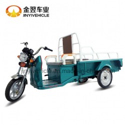 Electric Three Wheeler Scooter for Cargo Shipping