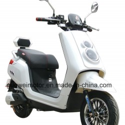 Electric Scooter/Electric Bike Motorcycle and Tricycle Gwem26