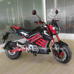 2018 Chinas Chinese 1500W/2000W Adult 12 Inches Fat Tire Electric Motorcycle (New Panther)