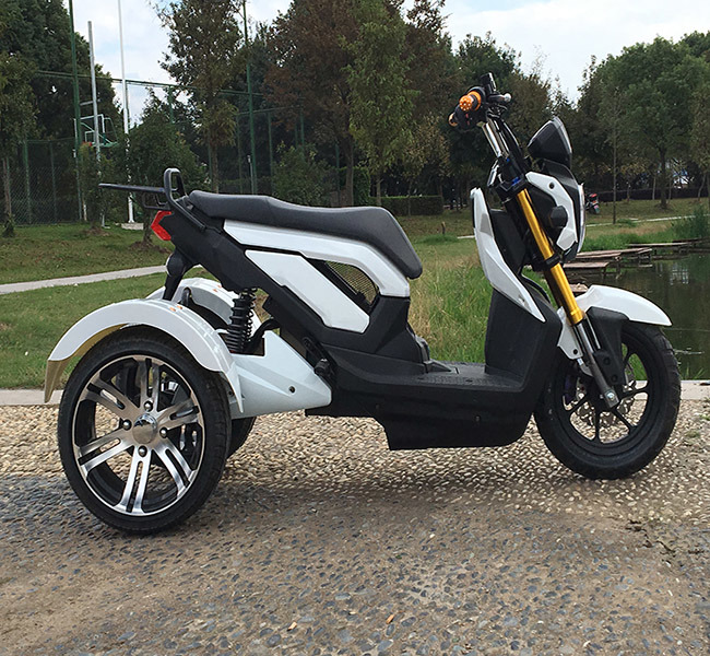 60V1000W Electric Motor Tricycle, Adult Electric Powered Dirt Motorcycle (EM-054) Image1
