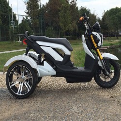 60V1000W Electric Motor Tricycle, Adult Electric Powered Dirt Motorcycle (EM-054)