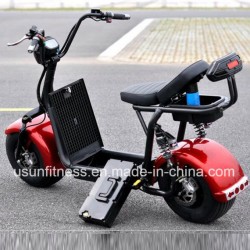 Cheap Electric Scooter Vehicle and Electric Motorcycle for Adult