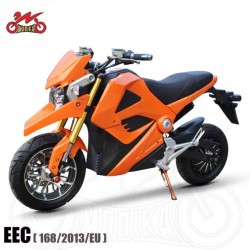 High Quality EEC Electric Motorcycle Scooter
