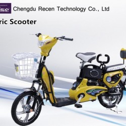 48V/12ah High Power Adult Electric Motorcycle with Pedals