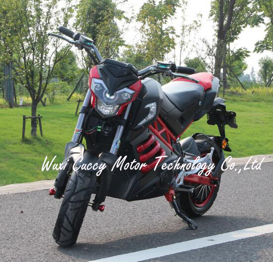 New 1500W 2000W 3000W Aguila Ava Adult Electric Motorcycle (New Panther) Image1
