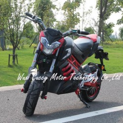 New 1500W 2000W 3000W Aguila Ava Adult Electric Motorcycle (New Panther)