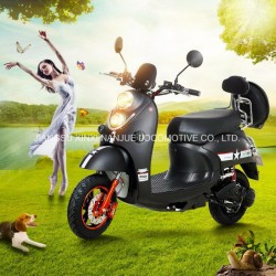 Cheap 800W-1500W Electric Scooter/Motorcycle with LED Light